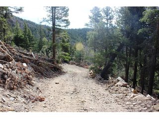 4 Lamertine Rd Idaho Springs, CO 80452