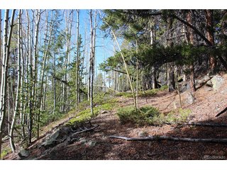 4 Lamertine Rd Idaho Springs, CO 80452