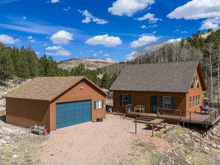 314 S Antelope Trl Cotopaxi, CO 81223