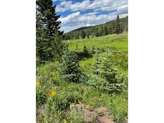 3091 Sterenson Pl Fort Garland, CO 81133