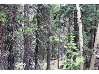 0 Hidden Wilderness Rd Idaho Springs, CO 80452