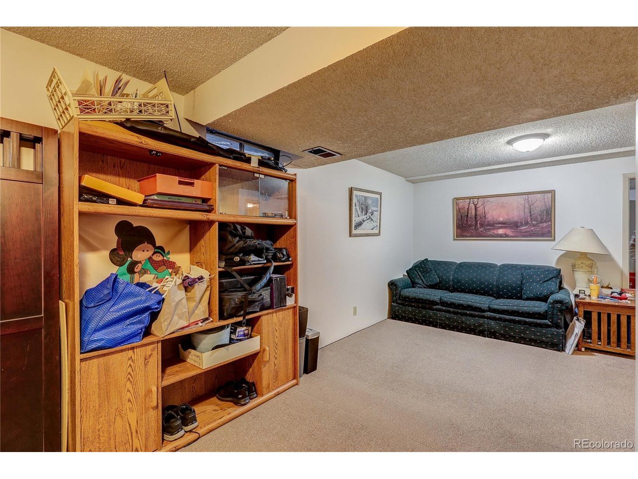Basement family room area and entertainment area