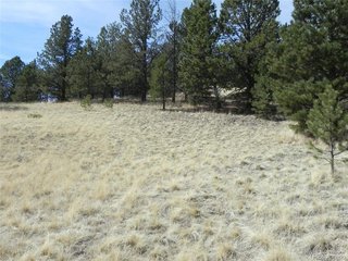 1058 Monarch Dr Cripple Creek, CO 80813