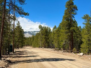 360 Peak View Dr Leadville, CO 80461