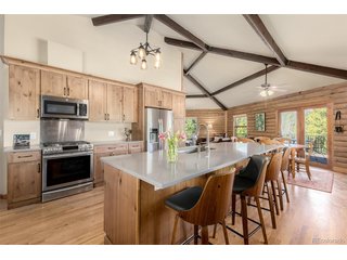 260 Pine Dr Idaho Springs, CO 80452