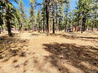 (TBD) BLK 4 LOT 6 Weston, CO 81091
