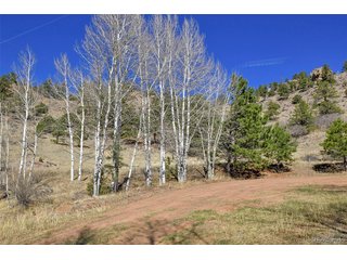 221 Floresta Florissant, CO 80816