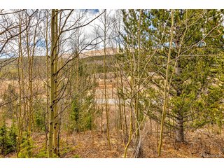 55780 Highway 9 Alma, CO 80440