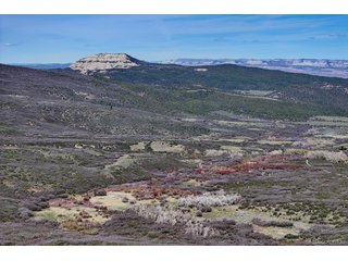5962 Highway 65 Mesa, CO 81643