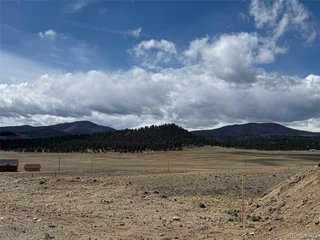 69 Buggy Ct Hartsel, CO 80449