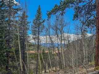 (TBD) Buckeye Gulch Road Leadville, CO 80461