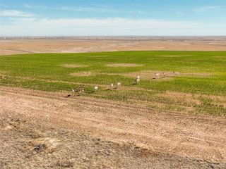 (TBD) TBD E Quincy Ave Strasburg, CO 80136