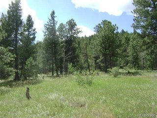 1504 County Road 43 Bailey, CO 80421