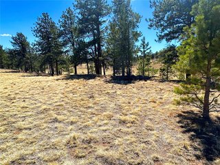(TBD) Singletree Rd Buena Vista, CO 81211