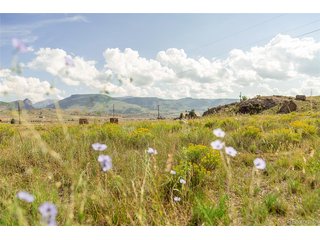 410 Macfarlane Ln Creede, CO 81130