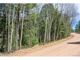 2763 N Mountain Estates Rd Florissant, CO 80816