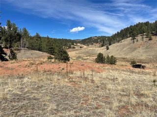 323 Gold King Dr Cripple Creek, CO 80813