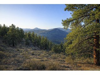 (TBD) Delwood Dr Bailey, CO 80421
