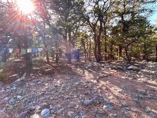 3821 Virtue Way Crestone, CO 81131