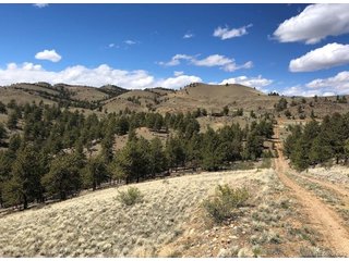 41 Willow St Hartsel, CO 80449