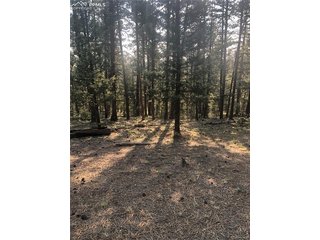 469 Echo Lake Dr Lake George, CO 80827