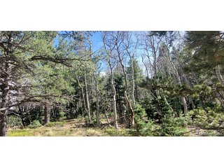 2560 Grojean Dr Fort Garland, CO 81133