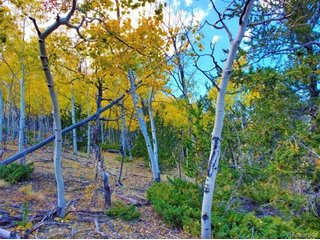 2000 Hard Hickory Trl Guffey, CO 80820