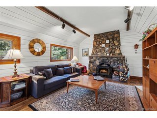 255 Raccoon Cir Evergreen, CO 80439