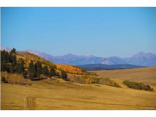 1245 Coochee Trl Guffey, CO 80820