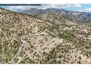 257 Wildlife Trl Idaho Springs, CO 80452