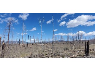 1228 Granville Loop Fort Garland, CO 81133
