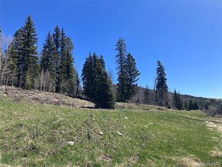 222 Lost Valley Dr Creede, CO 81130