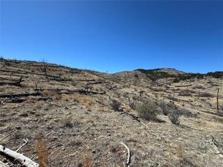32 F Path Cotopaxi, CO 81223