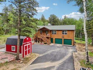 466 Karlann Dr Black Hawk, CO 80422
