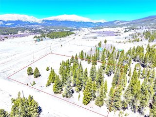 15 Placer Dr Alma, CO 80420