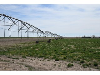 13955 Lanewood St Brighton, CO 80603