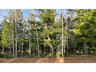68 Yale Pl Woodland Park, CO 80863