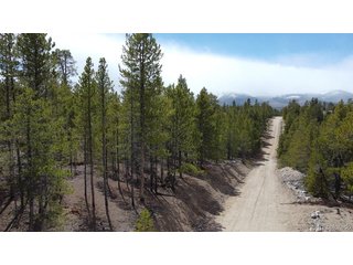 104 Spruce Dr Twin Lakes, CO 81251