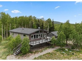133 Gold Run Rd Alma, CO 80440