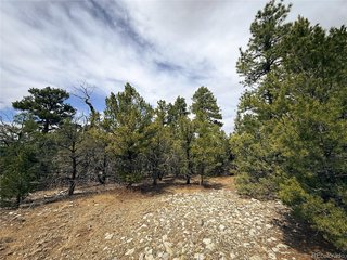 76 Mill Run Rd Mosca, CO 81146