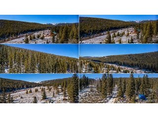 1180 Zebulon St Alma, CO 80420