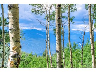 0 Robinson Hill Rd Golden, CO 80403