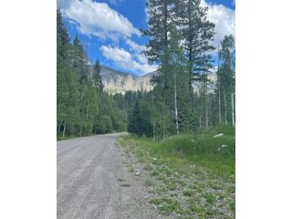 207 Camp Robber Dr Creede, CO 81130