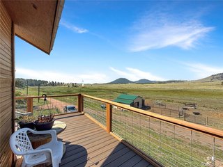 99 Peak Dr Guffey, CO 80820