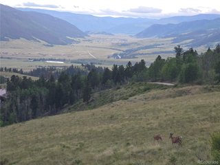 487 County Road 504 Bachelor Loop Creede, CO 81130