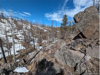 60 Powder Horn Trl Bellvue, CO 80512