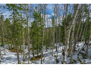 224 Deadwood Rd Cripple Creek, CO 80813