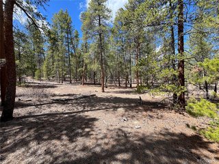 1013 Sequoia Dr Twin Lakes, CO 81251
