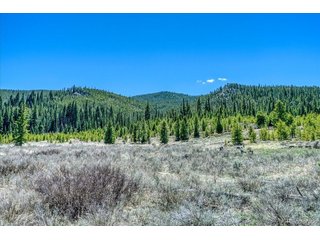 370 Meadow Wood Cir Dillon, CO 80435