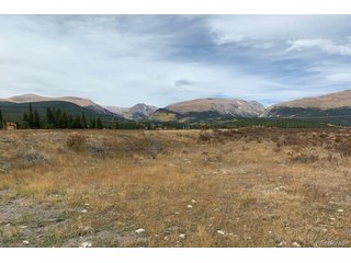 64 Glissade Trl Alma, CO 80420